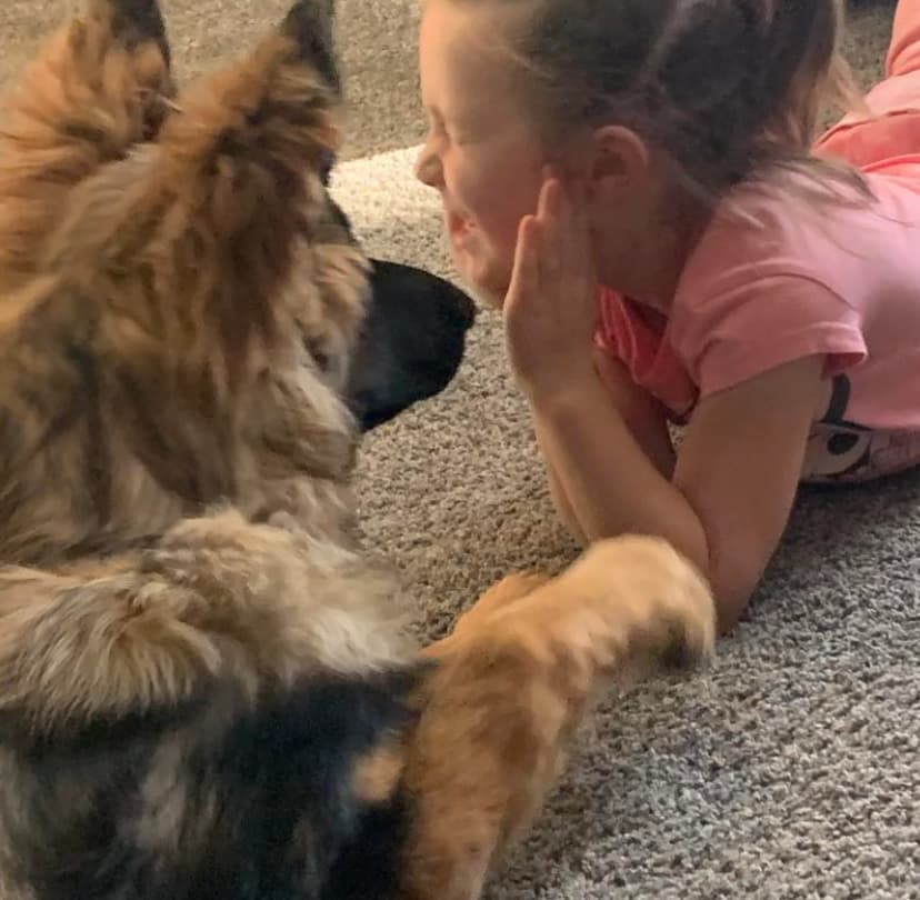 Skye-german-shepherd-with children1.jpeg