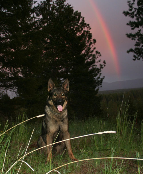 Heroand-rainbow,-May2007-00