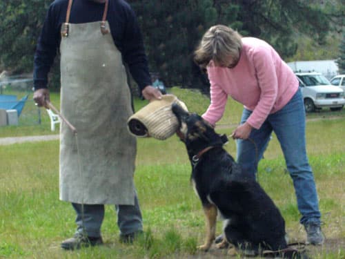 calmholdadjustedSchutzhund-.jpg