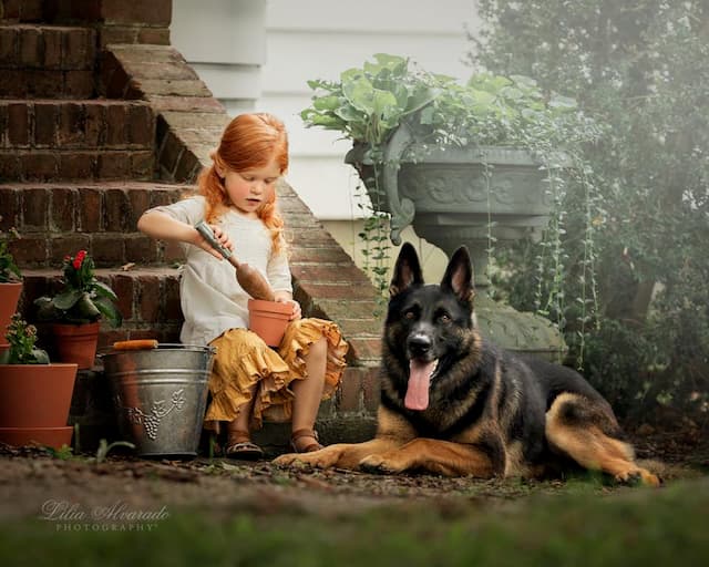 Family-Companions.jpeg