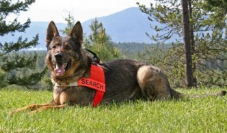 Hero, Search and Rescue, SAR